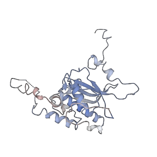 6583_3jcs_O_v1-2
2.8 Angstrom cryo-EM structure of the large ribosomal subunit from the eukaryotic parasite Leishmania
