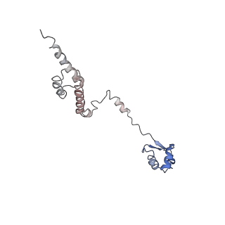 6583_3jcs_Q_v1-2
2.8 Angstrom cryo-EM structure of the large ribosomal subunit from the eukaryotic parasite Leishmania