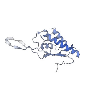 6583_3jcs_T_v1-2
2.8 Angstrom cryo-EM structure of the large ribosomal subunit from the eukaryotic parasite Leishmania