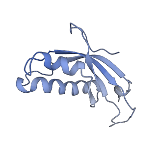 6583_3jcs_e_v1-2
2.8 Angstrom cryo-EM structure of the large ribosomal subunit from the eukaryotic parasite Leishmania