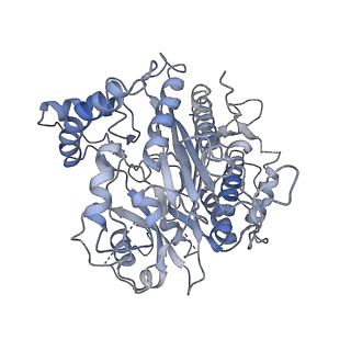 6615_3jct_4_v1-2
Cryo-em structure of eukaryotic pre-60S ribosomal subunits