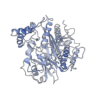 6615_3jct_4_v1-3
Cryo-em structure of eukaryotic pre-60S ribosomal subunits