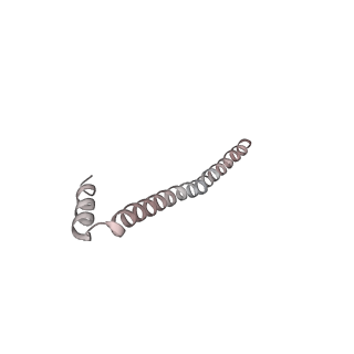 6615_3jct_5_v1-3
Cryo-em structure of eukaryotic pre-60S ribosomal subunits