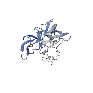 6615_3jct_A_v1-2
Cryo-em structure of eukaryotic pre-60S ribosomal subunits
