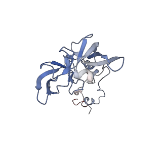 6615_3jct_A_v1-3
Cryo-em structure of eukaryotic pre-60S ribosomal subunits