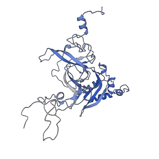 6615_3jct_B_v1-2
Cryo-em structure of eukaryotic pre-60S ribosomal subunits