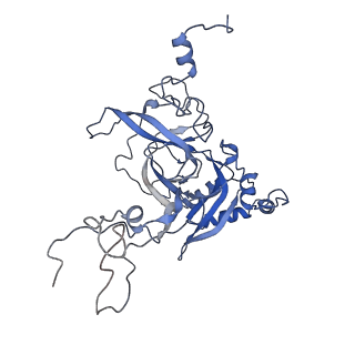 6615_3jct_B_v1-3
Cryo-em structure of eukaryotic pre-60S ribosomal subunits