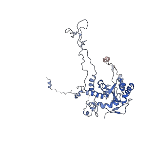 6615_3jct_C_v1-3
Cryo-em structure of eukaryotic pre-60S ribosomal subunits