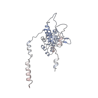 6615_3jct_D_v1-2
Cryo-em structure of eukaryotic pre-60S ribosomal subunits