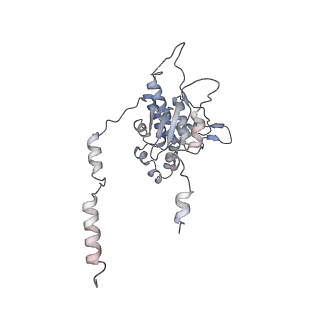 6615_3jct_D_v1-3
Cryo-em structure of eukaryotic pre-60S ribosomal subunits