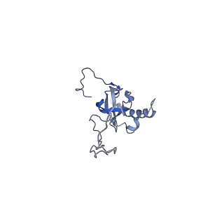 6615_3jct_E_v1-2
Cryo-em structure of eukaryotic pre-60S ribosomal subunits