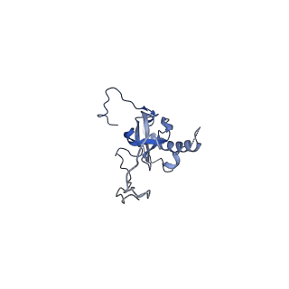 6615_3jct_E_v1-3
Cryo-em structure of eukaryotic pre-60S ribosomal subunits