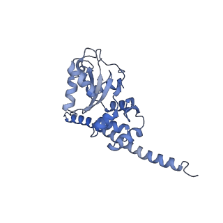 6615_3jct_F_v1-2
Cryo-em structure of eukaryotic pre-60S ribosomal subunits