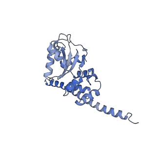 6615_3jct_F_v1-3
Cryo-em structure of eukaryotic pre-60S ribosomal subunits