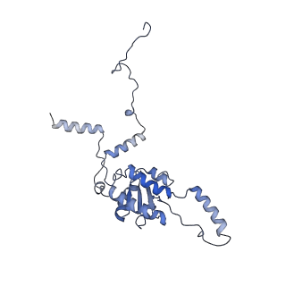 6615_3jct_G_v1-2
Cryo-em structure of eukaryotic pre-60S ribosomal subunits