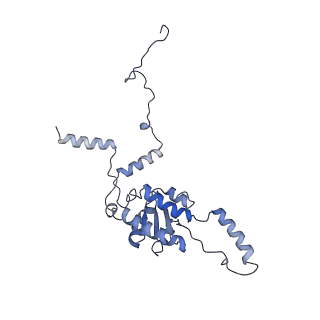 6615_3jct_G_v1-3
Cryo-em structure of eukaryotic pre-60S ribosomal subunits