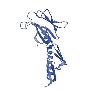6615_3jct_H_v1-2
Cryo-em structure of eukaryotic pre-60S ribosomal subunits