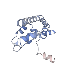 6615_3jct_I_v1-2
Cryo-em structure of eukaryotic pre-60S ribosomal subunits
