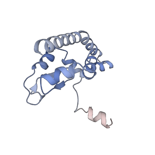 6615_3jct_I_v1-3
Cryo-em structure of eukaryotic pre-60S ribosomal subunits