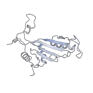 6615_3jct_J_v1-2
Cryo-em structure of eukaryotic pre-60S ribosomal subunits