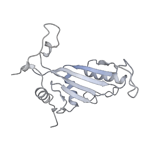 6615_3jct_J_v1-3
Cryo-em structure of eukaryotic pre-60S ribosomal subunits