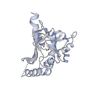 6615_3jct_K_v1-2
Cryo-em structure of eukaryotic pre-60S ribosomal subunits