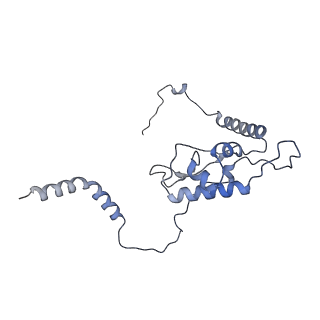 6615_3jct_L_v1-3
Cryo-em structure of eukaryotic pre-60S ribosomal subunits