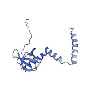 6615_3jct_M_v1-2
Cryo-em structure of eukaryotic pre-60S ribosomal subunits