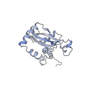 6615_3jct_N_v1-2
Cryo-em structure of eukaryotic pre-60S ribosomal subunits
