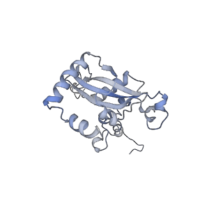 6615_3jct_N_v1-3
Cryo-em structure of eukaryotic pre-60S ribosomal subunits