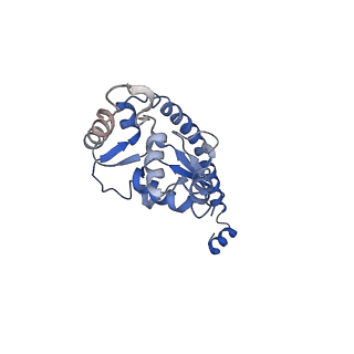 6615_3jct_O_v1-2
Cryo-em structure of eukaryotic pre-60S ribosomal subunits