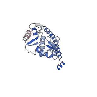 6615_3jct_O_v1-3
Cryo-em structure of eukaryotic pre-60S ribosomal subunits