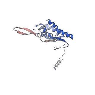 6615_3jct_P_v1-2
Cryo-em structure of eukaryotic pre-60S ribosomal subunits
