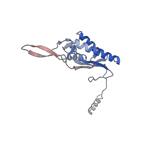 6615_3jct_P_v1-3
Cryo-em structure of eukaryotic pre-60S ribosomal subunits