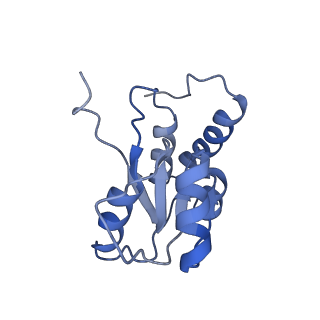 6615_3jct_Q_v1-2
Cryo-em structure of eukaryotic pre-60S ribosomal subunits