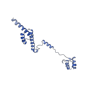 6615_3jct_R_v1-2
Cryo-em structure of eukaryotic pre-60S ribosomal subunits