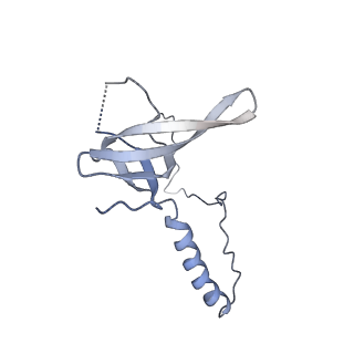6615_3jct_T_v1-2
Cryo-em structure of eukaryotic pre-60S ribosomal subunits