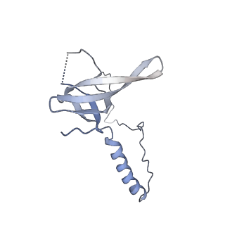 6615_3jct_T_v1-3
Cryo-em structure of eukaryotic pre-60S ribosomal subunits