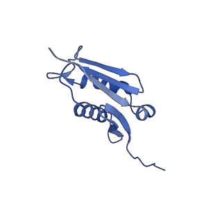 6615_3jct_U_v1-2
Cryo-em structure of eukaryotic pre-60S ribosomal subunits