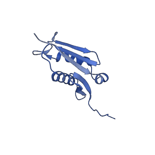 6615_3jct_U_v1-3
Cryo-em structure of eukaryotic pre-60S ribosomal subunits