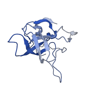 6615_3jct_V_v1-2
Cryo-em structure of eukaryotic pre-60S ribosomal subunits