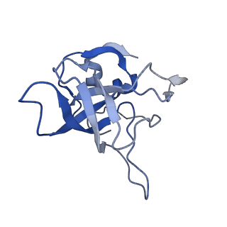 6615_3jct_V_v1-3
Cryo-em structure of eukaryotic pre-60S ribosomal subunits