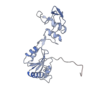 6615_3jct_W_v1-2
Cryo-em structure of eukaryotic pre-60S ribosomal subunits