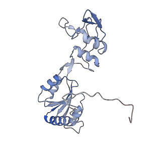 6615_3jct_W_v1-3
Cryo-em structure of eukaryotic pre-60S ribosomal subunits