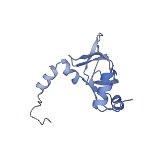 6615_3jct_Y_v1-2
Cryo-em structure of eukaryotic pre-60S ribosomal subunits