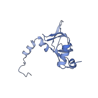 6615_3jct_Y_v1-3
Cryo-em structure of eukaryotic pre-60S ribosomal subunits