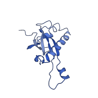6615_3jct_Z_v1-2
Cryo-em structure of eukaryotic pre-60S ribosomal subunits
