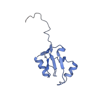 6615_3jct_a_v1-2
Cryo-em structure of eukaryotic pre-60S ribosomal subunits