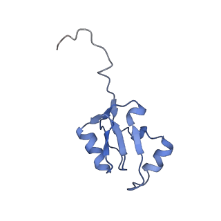 6615_3jct_a_v1-3
Cryo-em structure of eukaryotic pre-60S ribosomal subunits