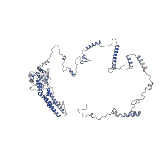 6615_3jct_b_v1-2
Cryo-em structure of eukaryotic pre-60S ribosomal subunits